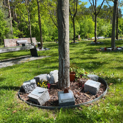 Baumfeld Friedhof Schwarzenbruck