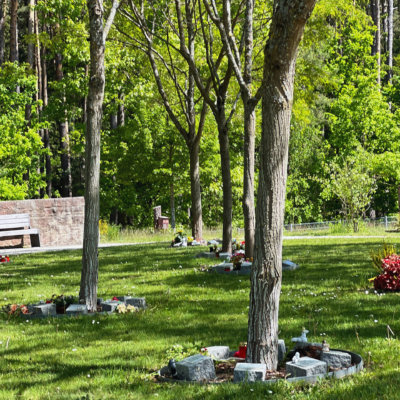 Baumfeld Friedhof Schwarzenbruck
