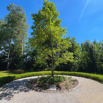Urnenhain Friedhof Pyrbaum